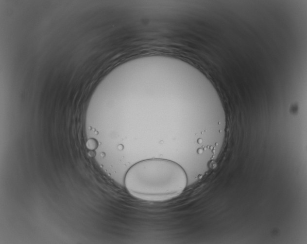 X0000115700275200912241529