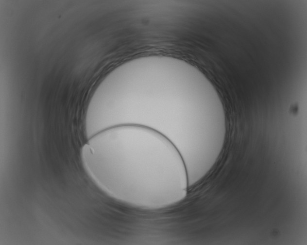 X0000115700276200912241529