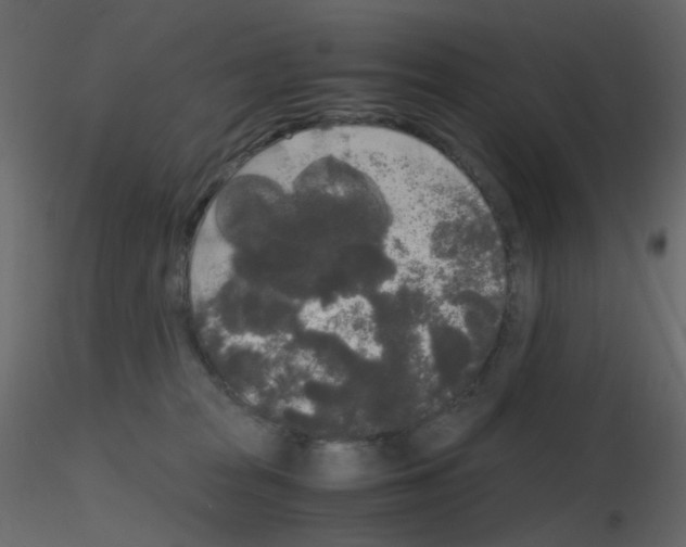 X0000115700277200912241529