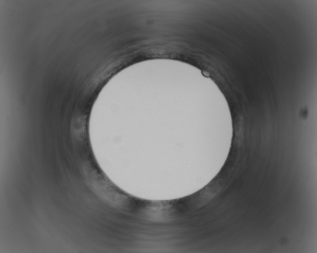 X0000115700278200912241529