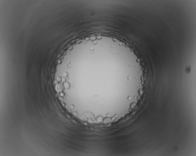 X0000115700279200912241529