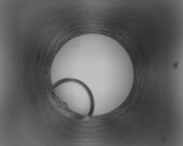 X0000115700280200912241529