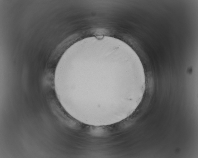 X0000115700281200912241529