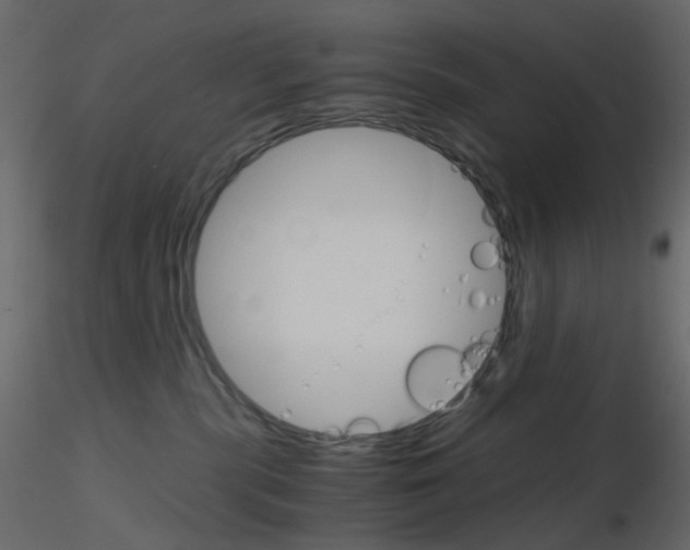 X0000115700283200912241529