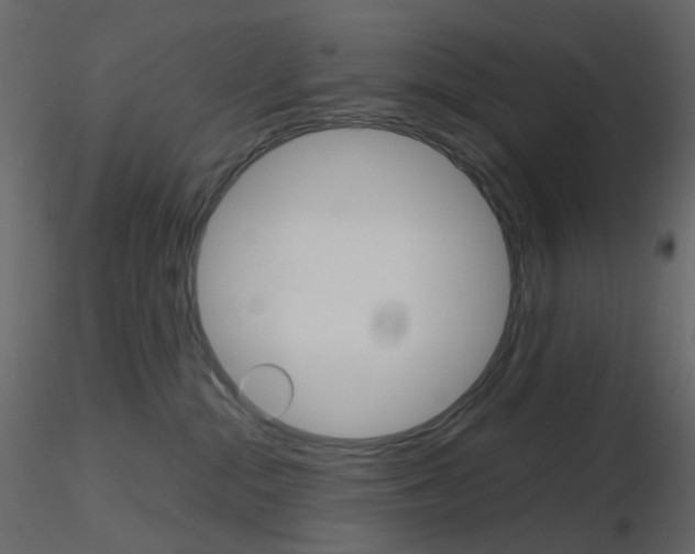 X0000115700284200912241529