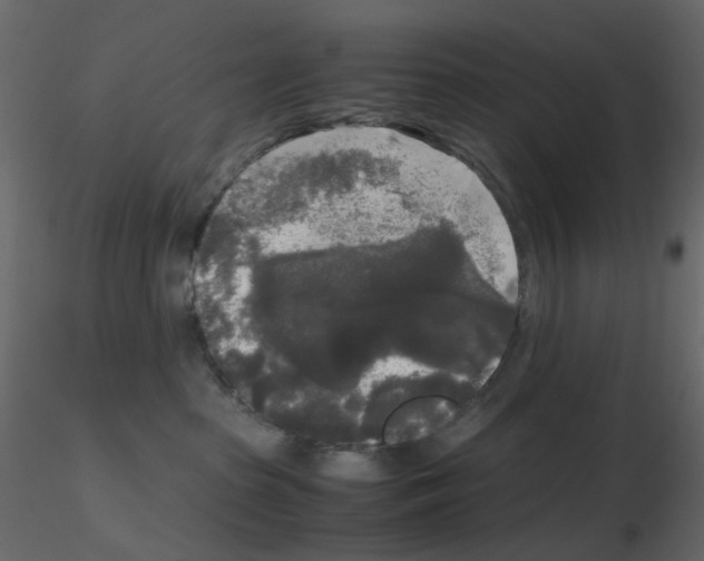 X0000115700285200912241529