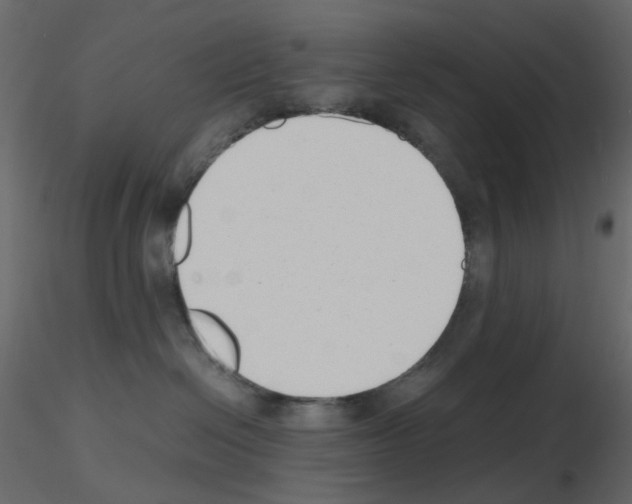 X0000115700286200912241529