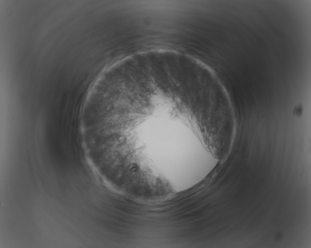 X0000115700287200912241529