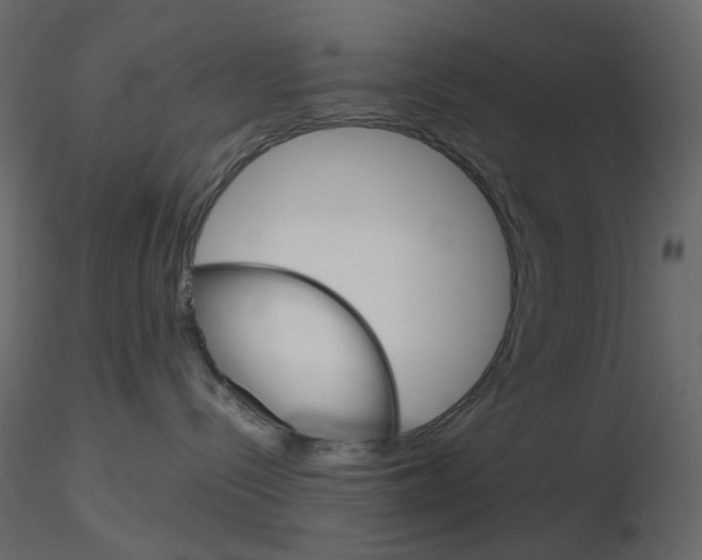 X0000115700288200912241529