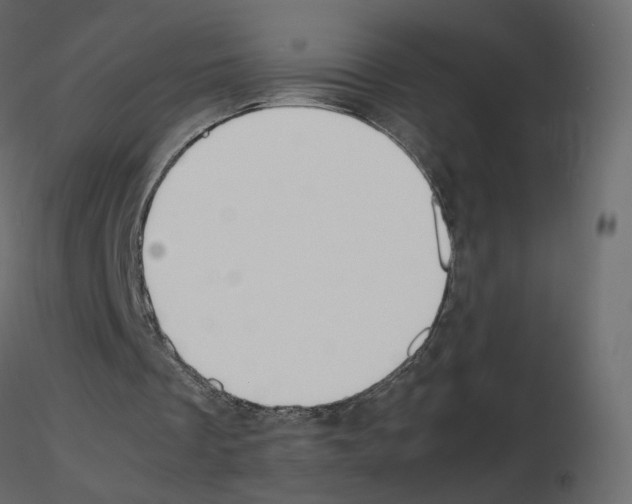 X0000115700289200912241528