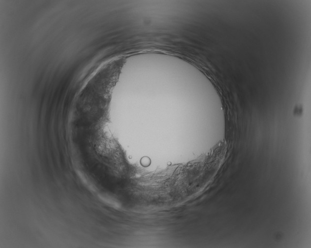 X0000115700291200912241528