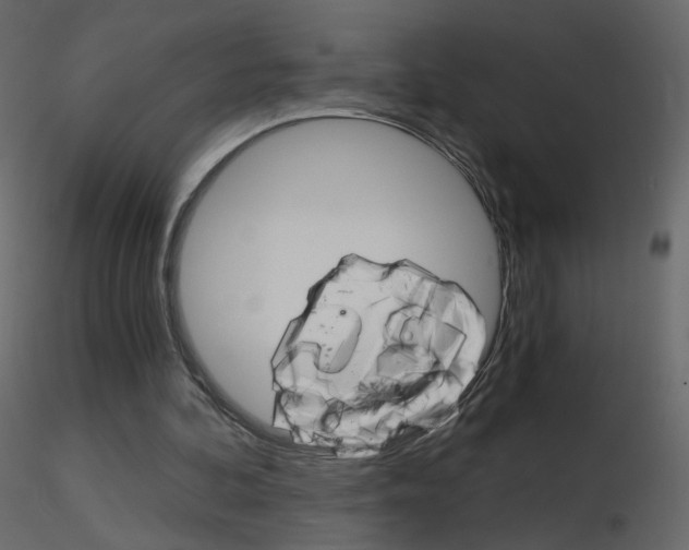 X0000115700292200912241528