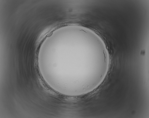 X0000115700293200912241528