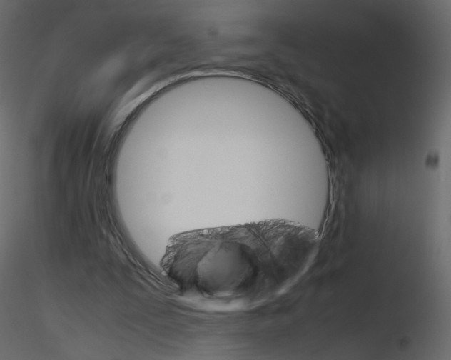 X0000115700295200912241528