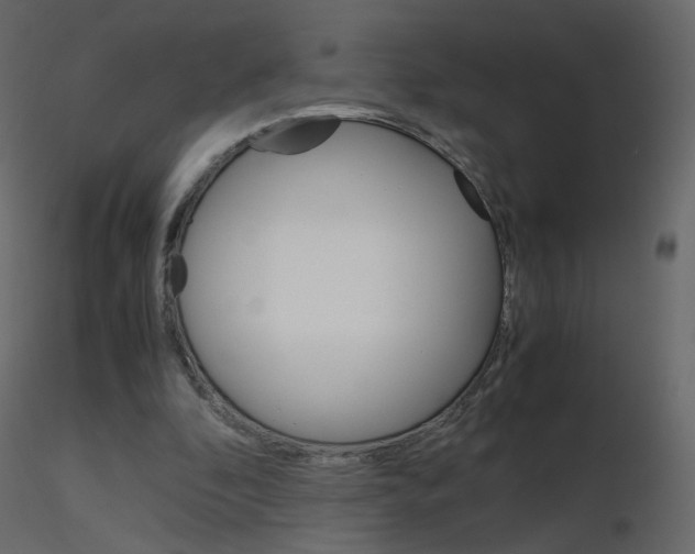 X0000115700296200912241528