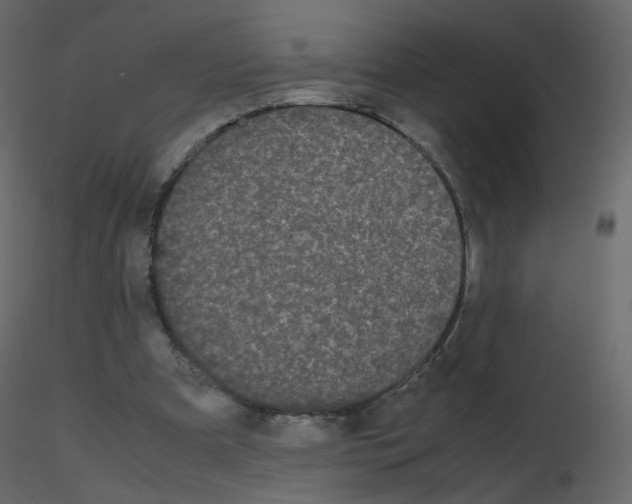 X0000115700297200912241528