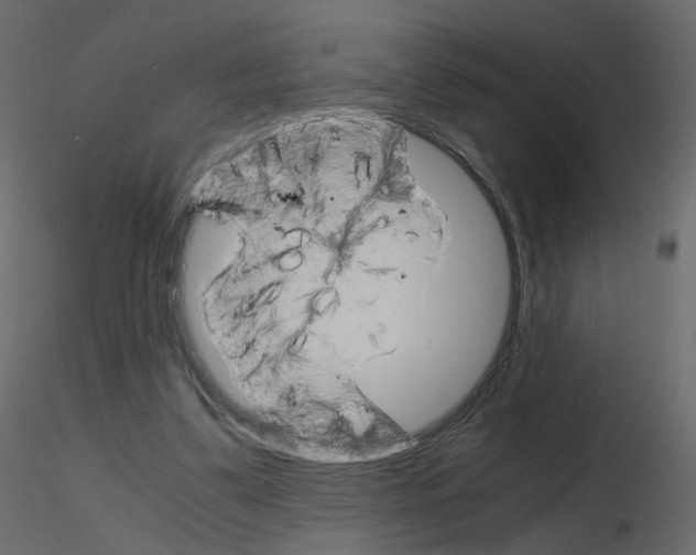 X0000115700299200912241528