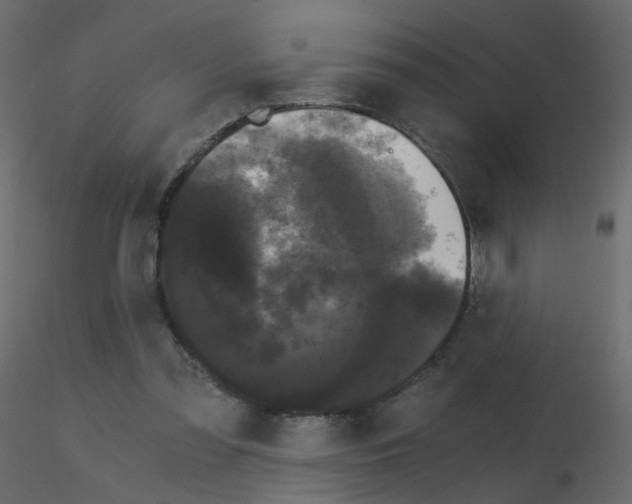 X0000115700301200912241528