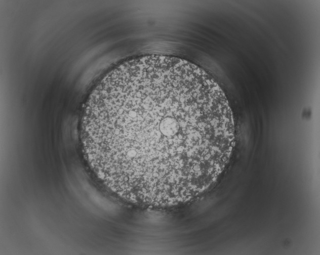 X0000115700302200912241528