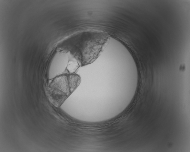 X0000115700303200912241528