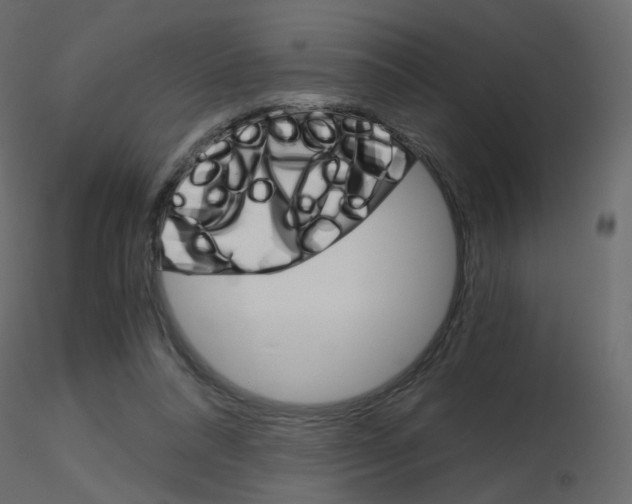 X0000115700304200912241528