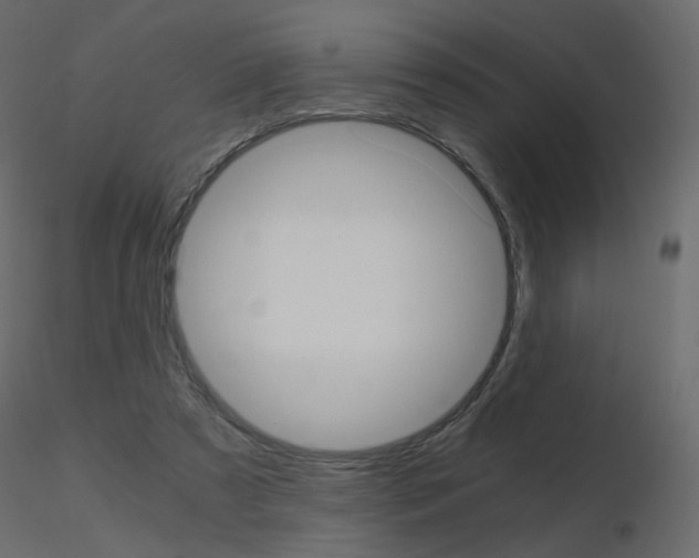 X0000115700305200912241528