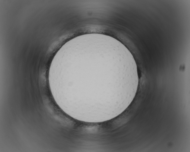 X0000115700306200912241528