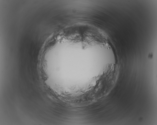 X0000115700307200912241528