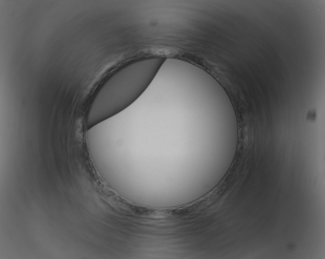 X0000115700308200912241528