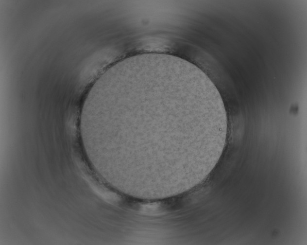 X0000115700309200912241528