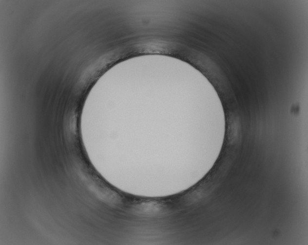 X0000115700310200912241528