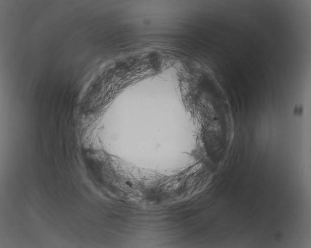 X0000115700311200912241528