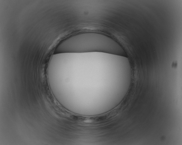 X0000115700312200912241528