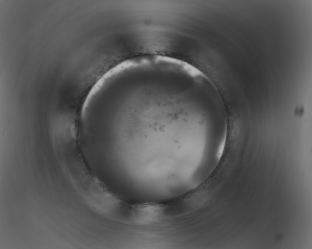 X0000115700313200912241528