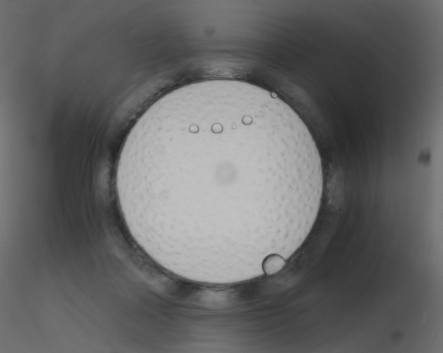 X0000115700314200912241528