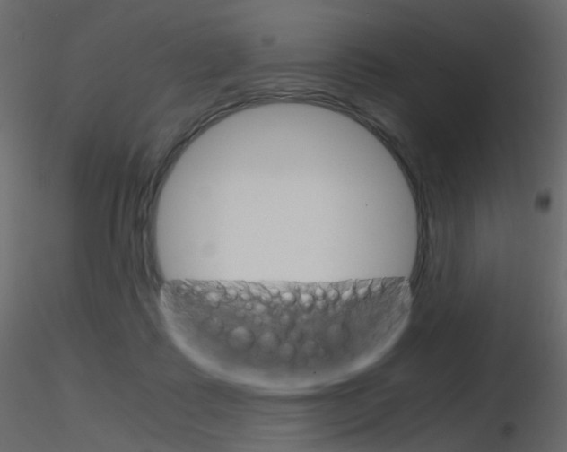 X0000115700315200912241528