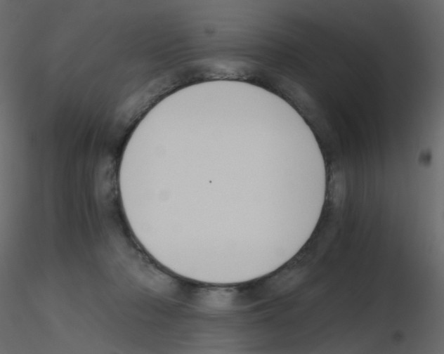 X0000115700318200912241528