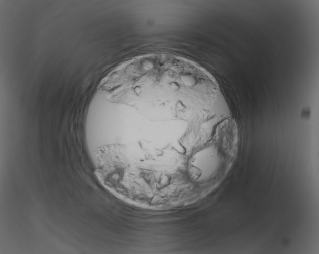 X0000115700319200912241528