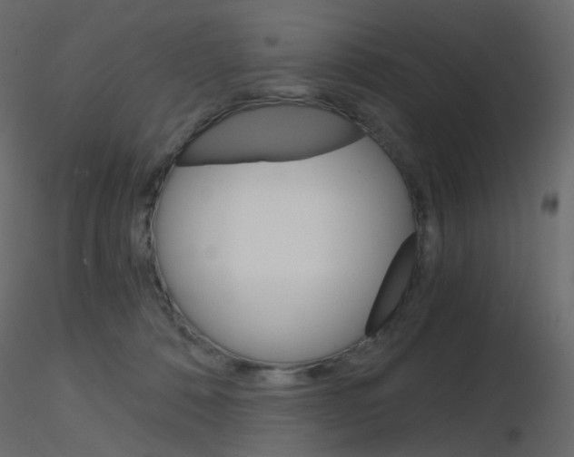 X0000115700320200912241528