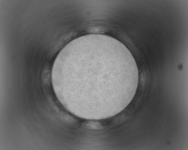 X0000115700322200912241528