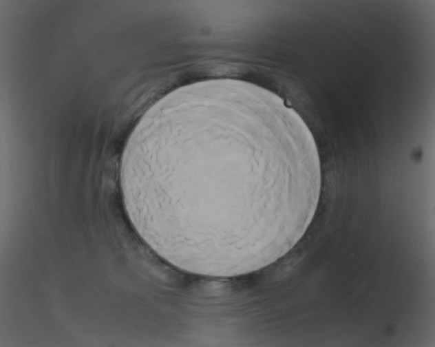 X0000115700325200912241528