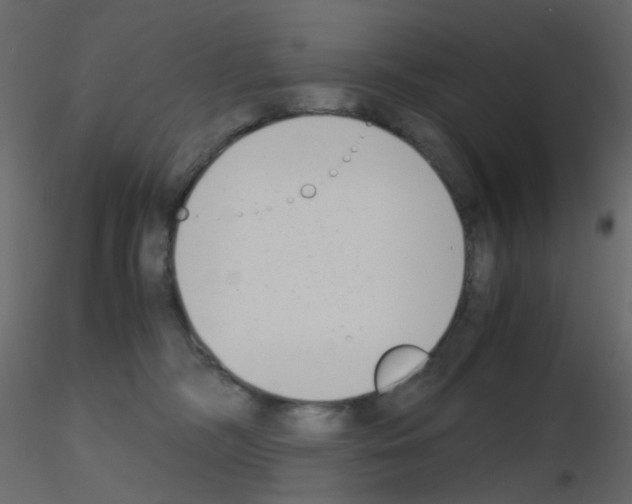 X0000115700326200912241528