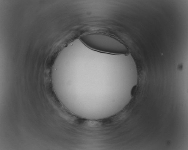 X0000115700327200912241528