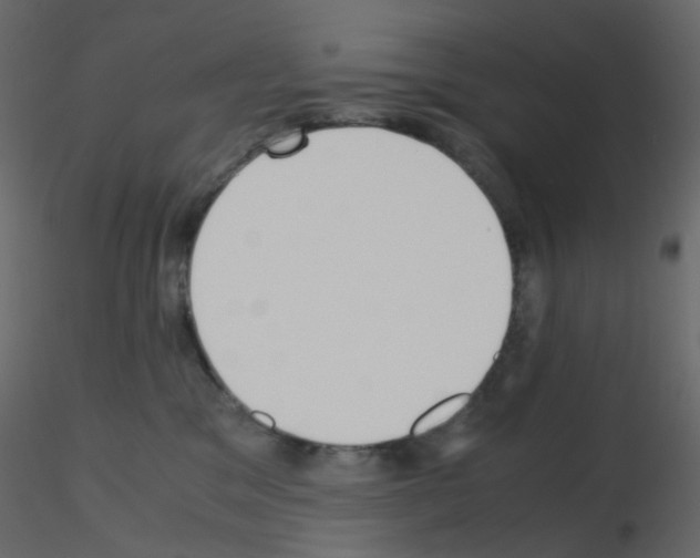 X0000115700329200912241528