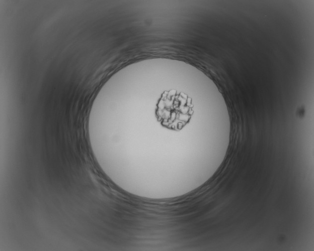 X0000115700332200912241528