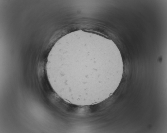 X0000115700333200912241528