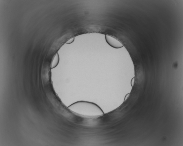 X0000115700334200912241528