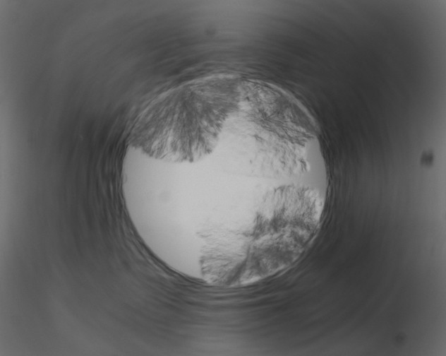 X0000115700335200912241528