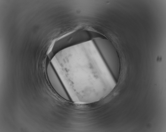 X0000115700336200912241528