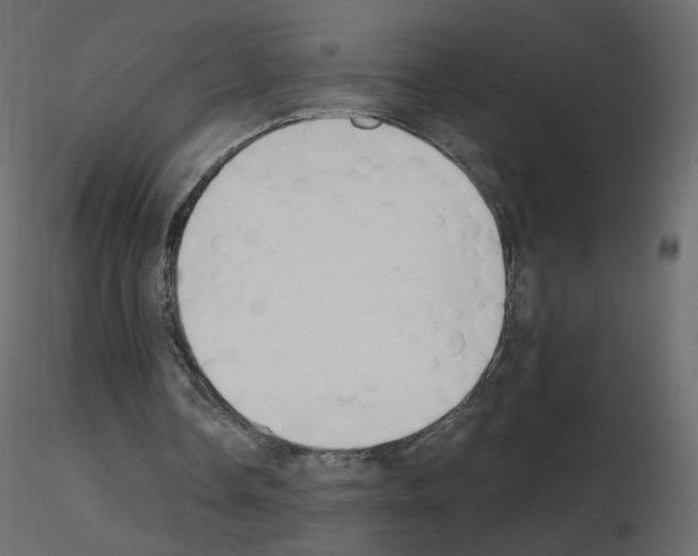 X0000115700338200912241527